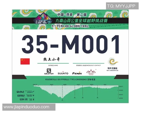 全球挑战赛分析:BLG战术布局与表现深度解析 全球挑战赛分析:BLG战术布局与表现深度解析