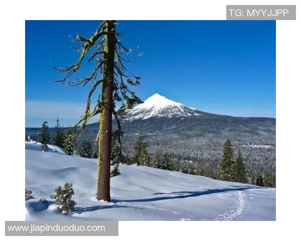 刘秀英亲述攀岩技巧与心得体会助你轻松征服高峰