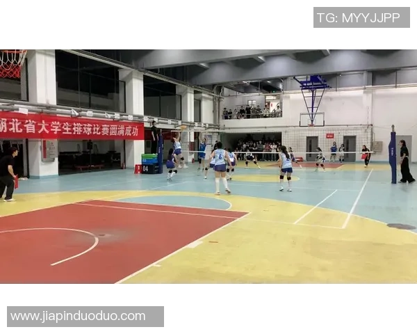 武汉排球队的精神之旅：探索排球背后的团队意识与文化传承